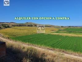 APIHOUSE VENDE FINCA DE REGADIO EN LA VEGA DEL RIO TAJO.  PRECIO INICIAL 125.000€ photo 0