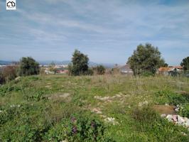 APIHOUSE VENDE TERRENO URBANO EN ESCALONA. PRECIO 24.500€ photo 0