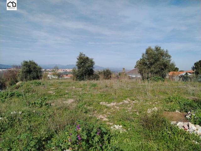 APIHOUSE VENDE TERRENO URBANO EN ESCALONA. PRECIO 24.500€ photo 0