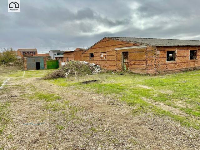 Apihouse presenta parcela urbana de 1574 m2 en La Mata, Precio 99.999€ photo 0