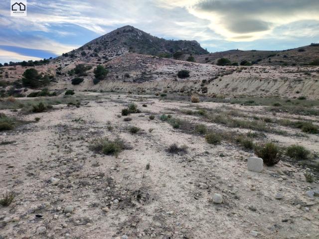 APIHOUSE VENDE TERRENO GRAN TERRENO URBANO EN ASPE. PRECIO 110.000€ photo 0