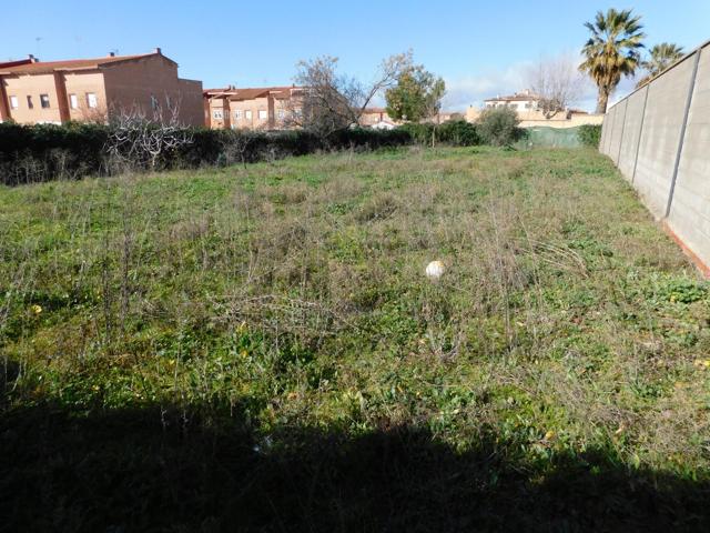 TERRENO URBANO EN EL CENTRO DE CHOZAS DE CANALES photo 0