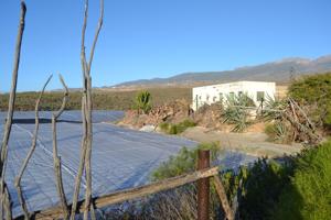 Villa En venta en Arico photo 0