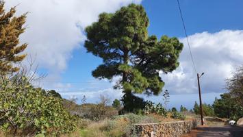 Terrenos Edificables En venta en El Pinar de El Hierro photo 0