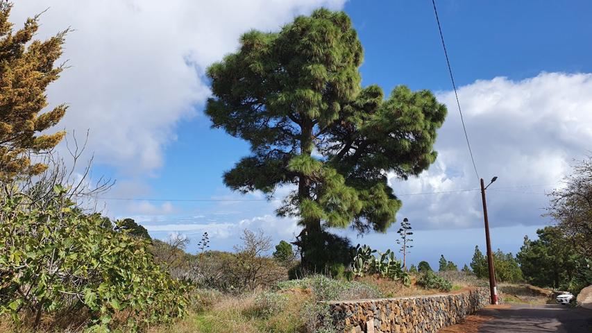 Terrenos Edificables En venta en El Pinar de El Hierro photo 0