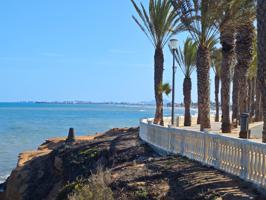 🏡 Tu casa junto al mar en Torre de la Horadada - Costa Blanca🏖 photo 0