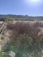 ¡Gran Oportunidad de Inversión! Terreno en Venta por 25,000! photo 0