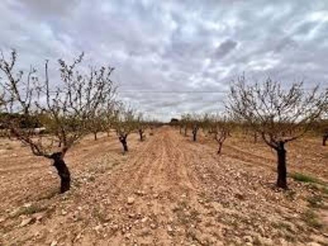 🏙️ Exclusiva Oportunidad en Suelo Urbano – Sector Nueva Condomina, Murcia 🏙️ photo 0