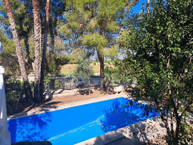🏡 ¡Vendo Chalet en la Huerta de Orihuela Ciudad! 🏡 photo 0
