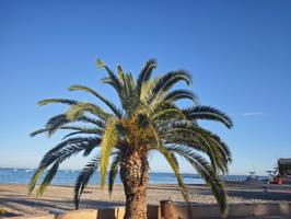 Tu nuevo hogar en Lo Pagán, San Pedro del Pinatar 🏡✨ photo 0