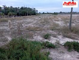 Se vende terreno de 12000m en Daimes, a 2km de La Hoya, photo 0