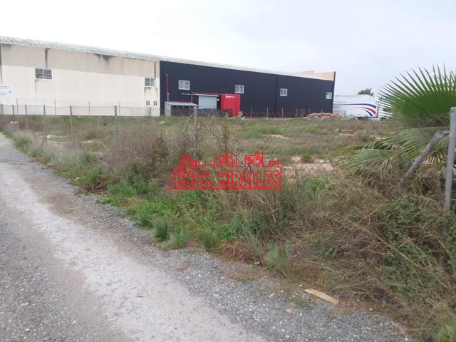 SE VENDE PARCELA EN POLIGONO LOS BARRIOS (ROJALES - ALICANTE) photo 0