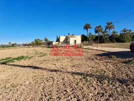 SE VENDE FINCA RURAL EN LA PARTIDA DE PUÇOL (A 5 KM DE ELCHE) photo 0