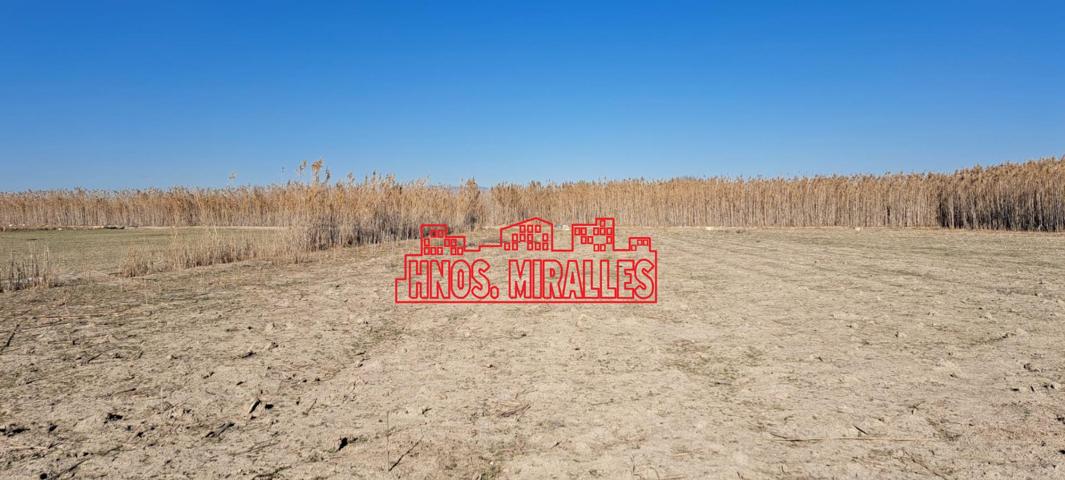 VENDO FINCA EN LOS CARRIZALES CON AGUA DE RIEGO GRATUITA photo 0
