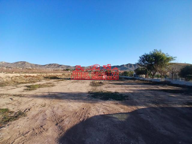 ¡¡ MAGNÍFICA PARCELA EN ASPE, 12.000 m2 !! photo 0
