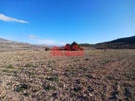 ¡¡ PRECIOSA PARCELA DE 20.300 M2 EN HONDÓN FRAILES !! photo 0
