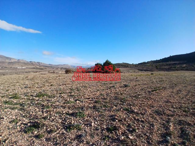 ¡¡ PRECIOSA PARCELA DE 20.300 M2 EN HONDÓN FRAILES !! photo 0