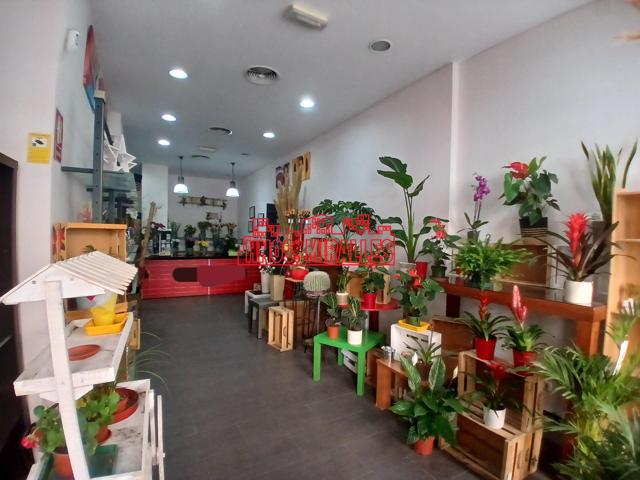¡¡ TRASPASO FLORISTERÍA EN ELCHE, ZONA EL PLÁ !! photo 0