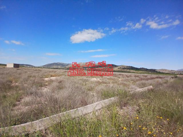¡¡ GRAN PARCELA DE 25851 m2 EN ABANILLA !! photo 0