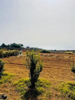 Terreno en alquiler o venta en Güimar. photo 0