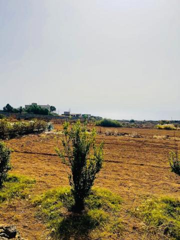 Terreno en alquiler o venta en Güimar. photo 0