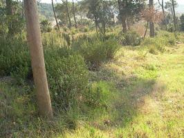 Terreno en venta en Vilanova del Vallès de 2600 m2 photo 0
