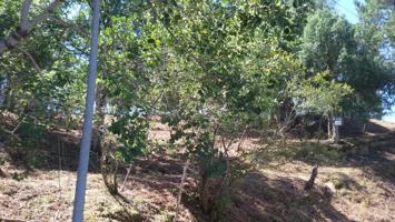 Terreno edificable en Vidreres photo 0