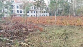 Terreno en venta en O Rosal de 384 m2 photo 0
