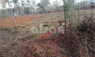 Terreno en venta en O Rosal de 384 m2 photo 0
