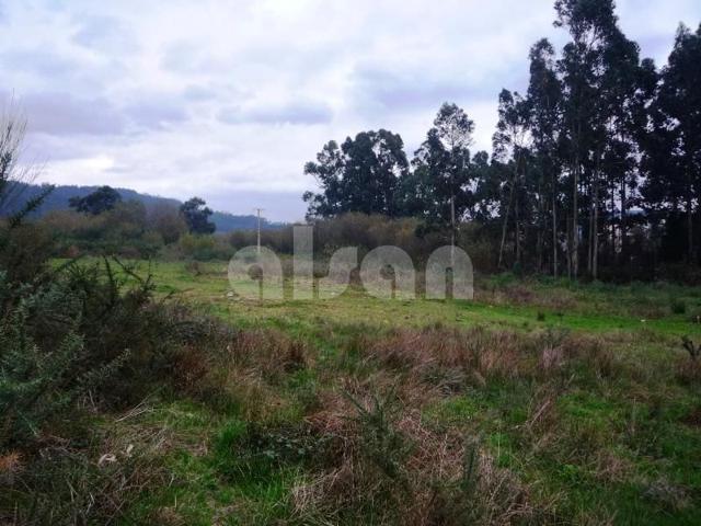 Solares en Narón photo 0