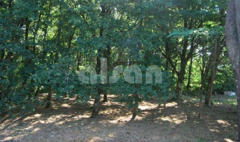 Promoción de terrenos en venta en Torneiros photo 0