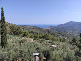 Olivar Con Cueva en Sóller photo 0