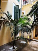 Exclusivo apartamento reformado a estrenar en el corazón de Palma photo 0