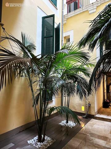 Exclusivo apartamento reformado a estrenar en el corazón de Palma photo 0