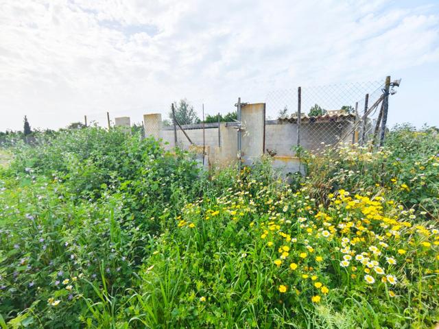 Parcela Rústica de 2.689 m² en Felanitx – Zona Segona Volta photo 0