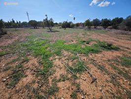 Parcela edificable en Son Sardina – Palma de Mallorca photo 0