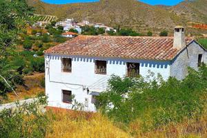CORTIJO EN CANTORIA. NEGOCIABLE!!! photo 0