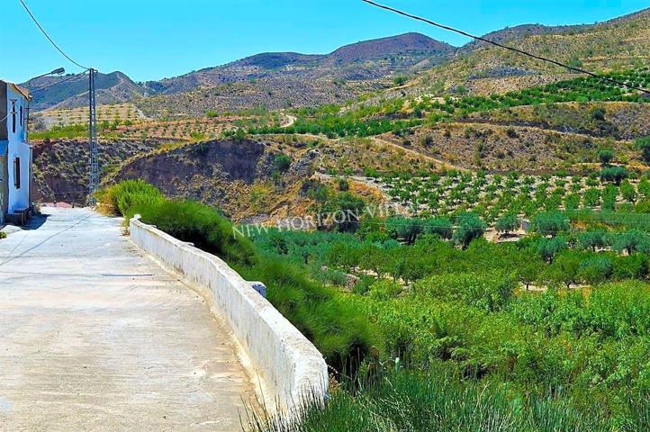 CORTIJO EN CANTORIA. NEGOCIABLE!!! photo 0