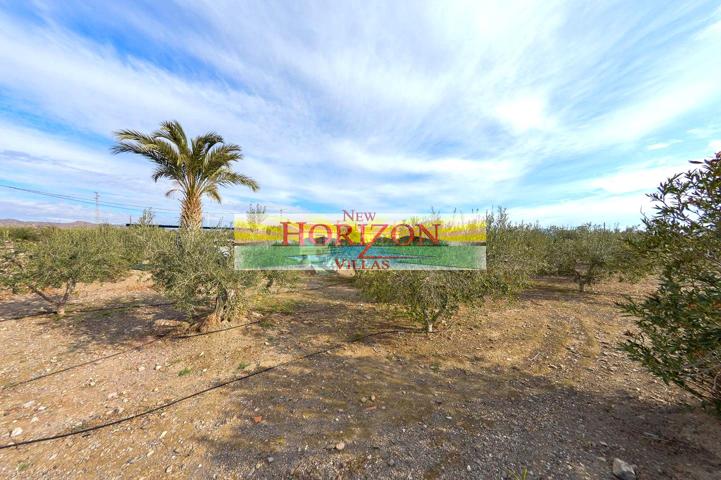 CORTIJO A LAS AFUERAS DE HUÉRCAL OVERA photo 0