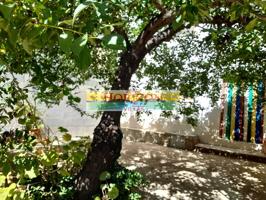 Country house in Lubrín Area photo 0