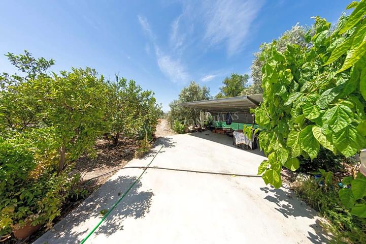 COUNTRY HOUSE IN HUÉRCAL-OVERA AREA photo 0