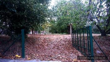 Terreno llano de 1000m2 con fácil acceso photo 0