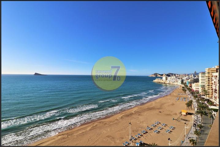 SE VENDE APARTAMENTO CON 4 DORMITORIOS EN PRIMERA LINEA DE PLAYA LEVANTE, BENIDORM! photo 0