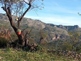 SE VENDE FINCA RÚSTICA CON CASA DE APEROS photo 0