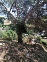 Venta Terreno en Can Massuet - Dosrius photo 0