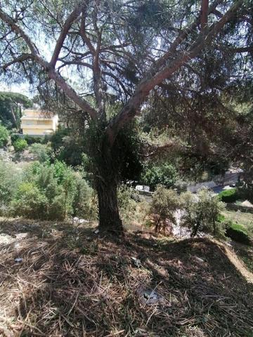 Venta Terreno en Can Massuet - Dosrius photo 0