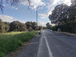 Parcela urbana con mas de dos mil m2. a un paso de Avila Urbanizacion Pancorbo. photo 0