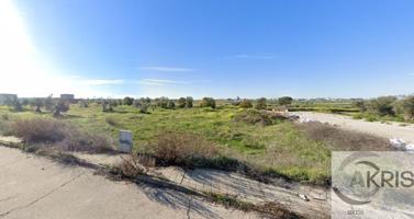 Terreno en venta en olias del rey de 250 m2 photo 0