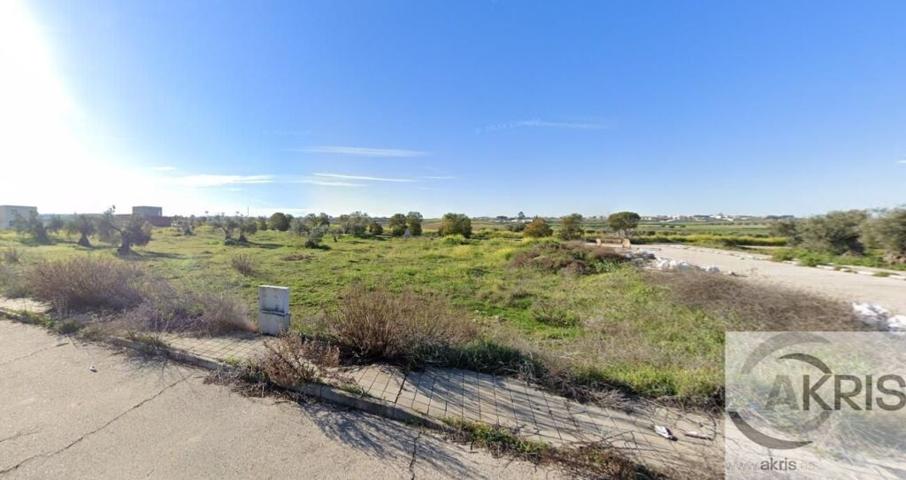 Terreno en venta en olias del rey de 250 m2 photo 0