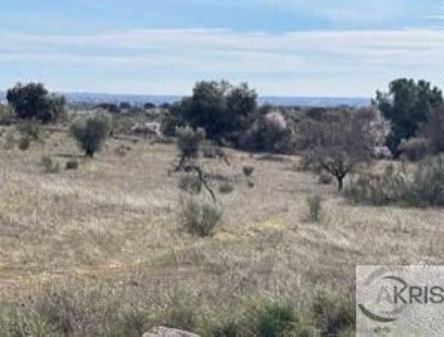 TERRENO EN CASARRUBIOS **CONSULTAR PRECIO** photo 0